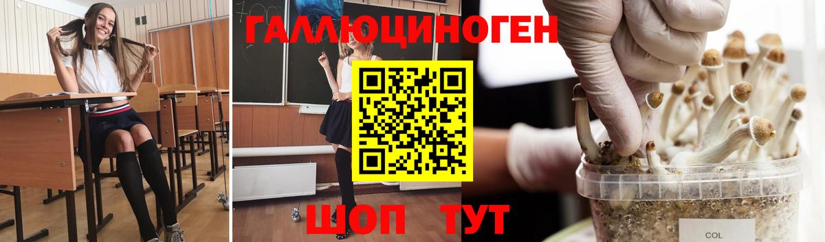 Галлюциногенные грибы мухоморы Урус-Мартан